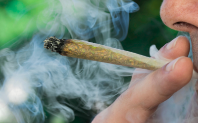 Poll: Most Americans Support “Making Marijuana Legal” Nationwide, Opinions Shaped by Personal Experience