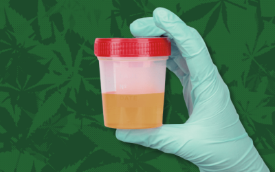 Transportation Memo: Marijuana Rescheduling Order Doesn’t Change Federal Drug Testing Rules