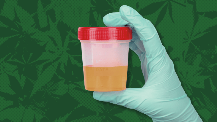 Transportation Memo: Marijuana Rescheduling Order Doesn’t Change Federal Drug Testing Rules