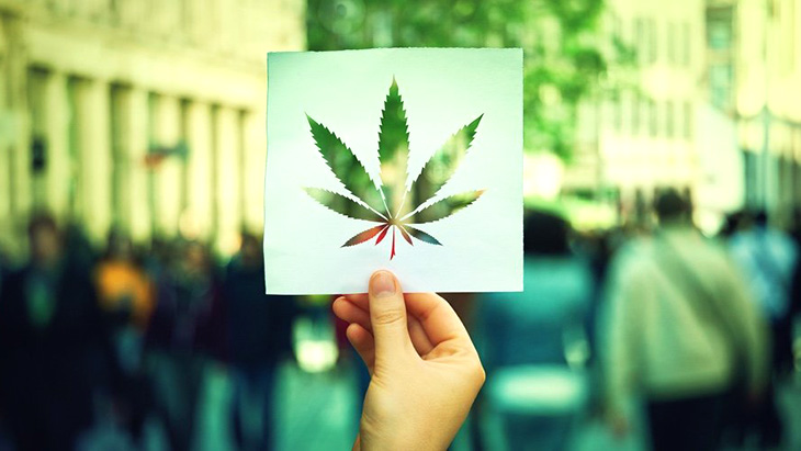 Why Your Support for NORML Matters More Than Ever