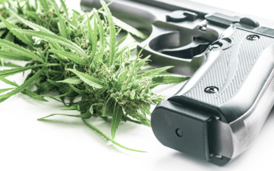 ATF Posts Draft Document Acknowledging Medical Cannabis Scheduling Change