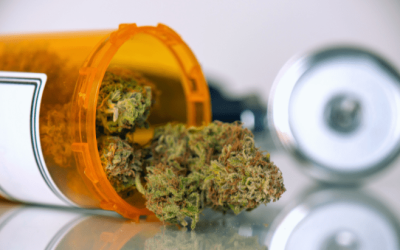 Analysis: Opioid Overdoses Decrease Following Enactment of Marijuana Legalization Laws