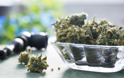 Vermont: Lawmakers Advance Bill to Governor Doubling Adult-Use Marijuana Possession Limits