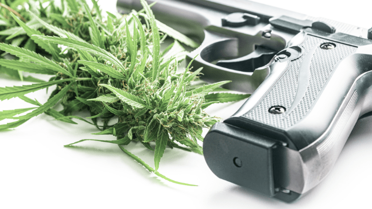 Supreme Court Affirms Second Amendment Rights for Cannabis Consumers
