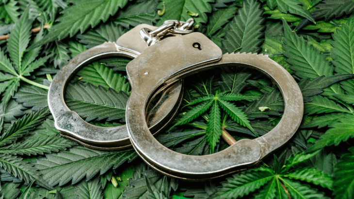 Federal Marijuana Trafficking Prosecutions Plummet Following Adoption of State-Level Legalization Laws