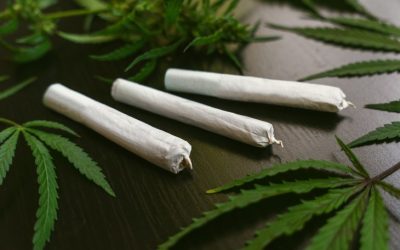 Vermont: Governor Signs Bill Into Law Raising Adult-Use Marijuana Possession Limits