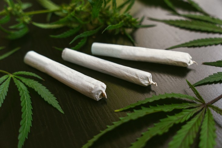 Vermont: Governor Signs Bill Into Law Raising Adult-Use Marijuana Possession Limits