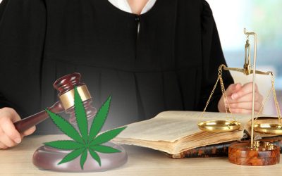 Michigan: Supreme Court Ruling Allows for Marijuana Use While on Probation