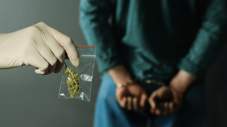 Analysis: Drug-Related Arrests, Disciplinary Incidents on College Campuses Decline Following Marijuana Legalization