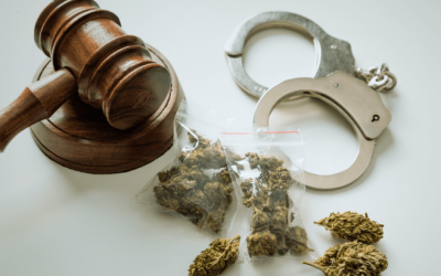 Cannabis Law Reform Is a Civil Rights Issue and Must Be Treated as Such