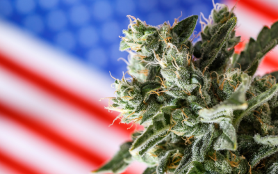 Senate Democrats Reintroduce Comprehensive Cannabis Descheduling and Regulation Legislation
