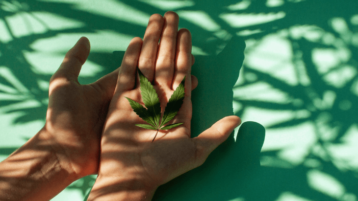 NORML Op-Ed: High Time to Remove Cannabis from Schedule I Status