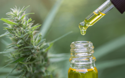 Clinical Trial: Plant-Derived Cannabis Preparation Is Safe and Effective in Children with Autism