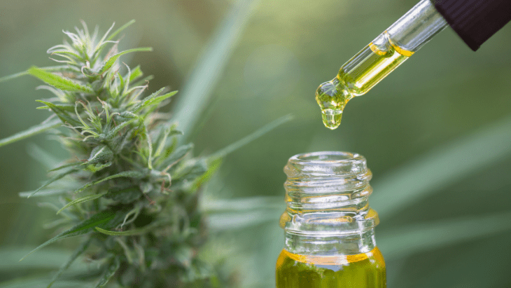 Clinical Trial: Plant-Derived Cannabis Preparation Is Safe and Effective in Children with Autism