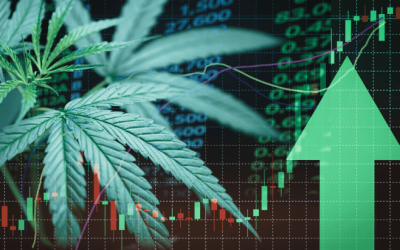 Analysis: Adoption of Medical Cannabis Access Laws Associated with Increased Workplace Productivity, Innovation