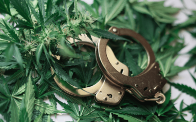 FBI: 60 Percent of All Marijuana Arrests Nationwide Occurred in These Ten States