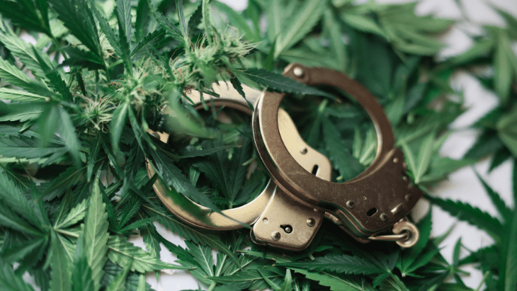 FBI: 60 Percent of All Marijuana Arrests Nationwide Occurred in These Ten States