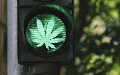 NORML Op-Ed: Vote this November to Keep Marijuana Legal in Massachusetts