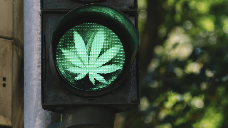 NORML Op-Ed: Vote this November to Keep Marijuana Legal in Massachusetts