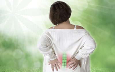 10-Year Study: Back Pain Patients Report Sustained Improvements, Decreased Reliance on Pharmaceuticals Following Medical Cannabis Treatment