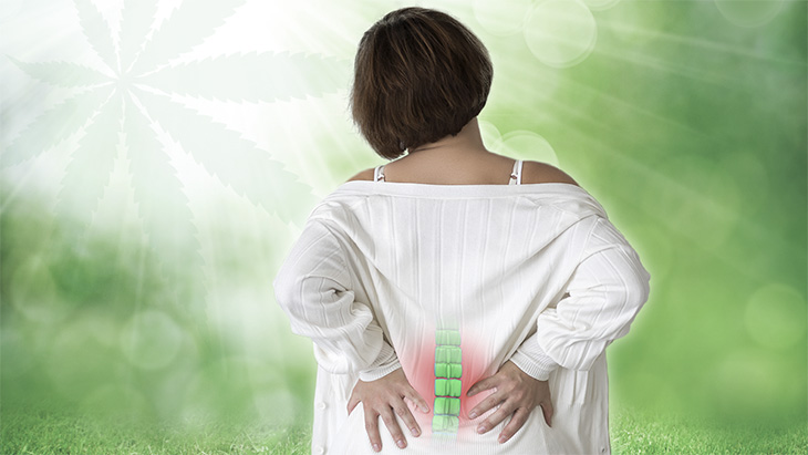 10-Year Study: Back Pain Patients Report Sustained Improvements, Decreased Reliance on Pharmaceuticals Following Medical Cannabis Treatment