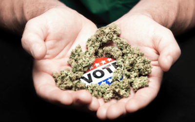 Massachusetts: Voters in Latest Poll Express Overwhelming Opposition to Marijuana Repeal Initiative (Question 8)