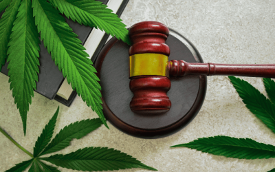 NORML Files Amicus Brief in Case Over Enforceability of Cannabis-Related Contracts