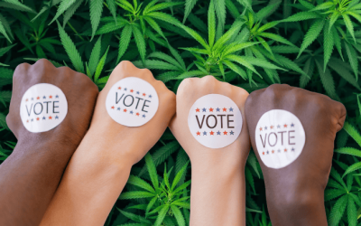 Marijuana Midterms Alert: Double Your Impact Before Election Day