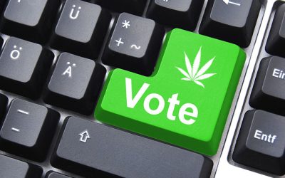 Massachusetts: Lawmakers Publicly Urge ‘No’ Vote on Marijuana Repeal Initiative (Question 8)